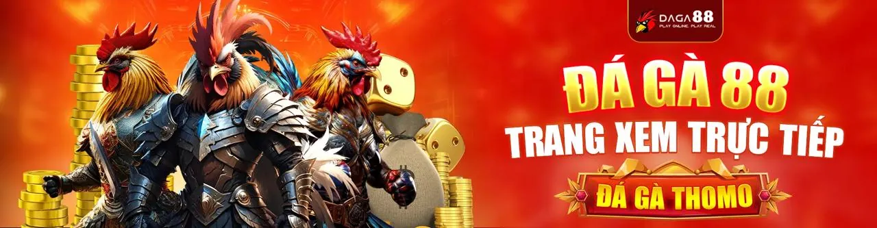 Sân đấu đá gà trực tuyến 88CLD Link Mới